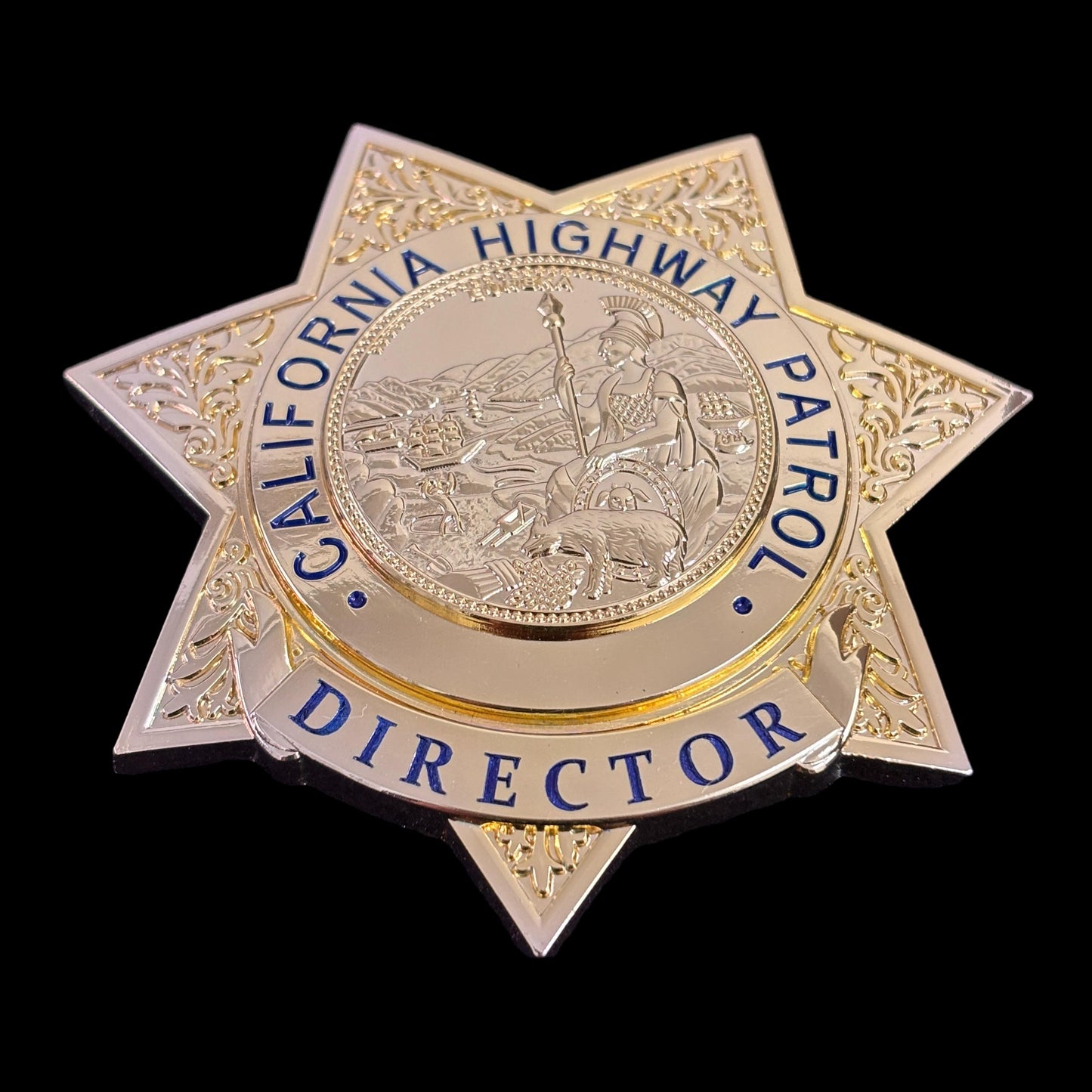 US CHP Direktor Highway Patrol Abzeichen Replik Film Requisiten anpassbare Nummer 