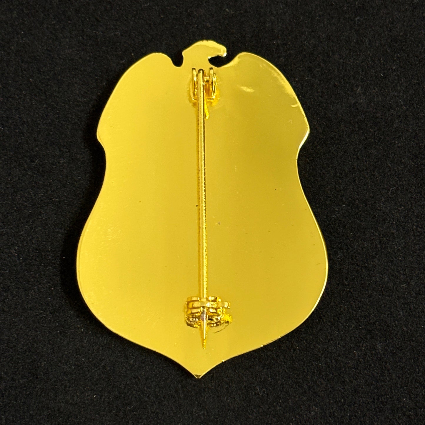 Agent spécial de l'Administration de la sécurité des transports des États-Unis, BADGE 